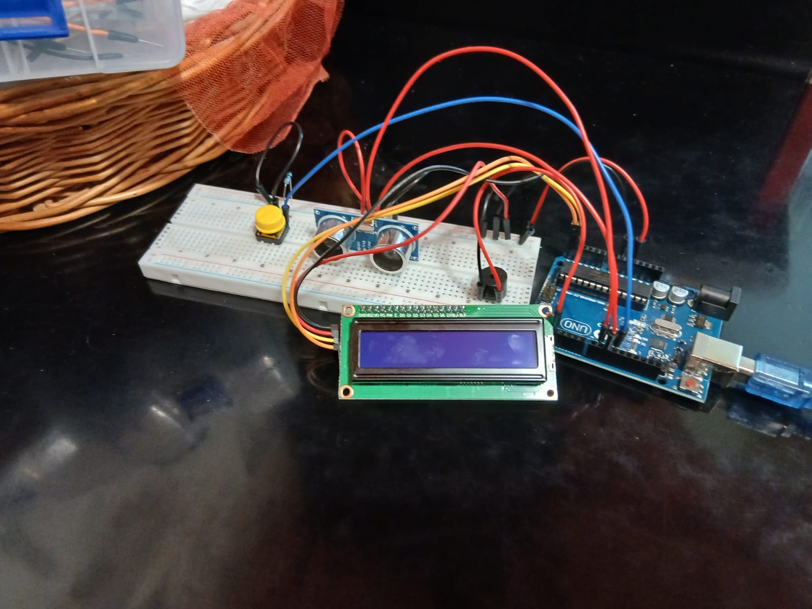EchoSense project screenshot